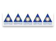 Excellent CG Scoring